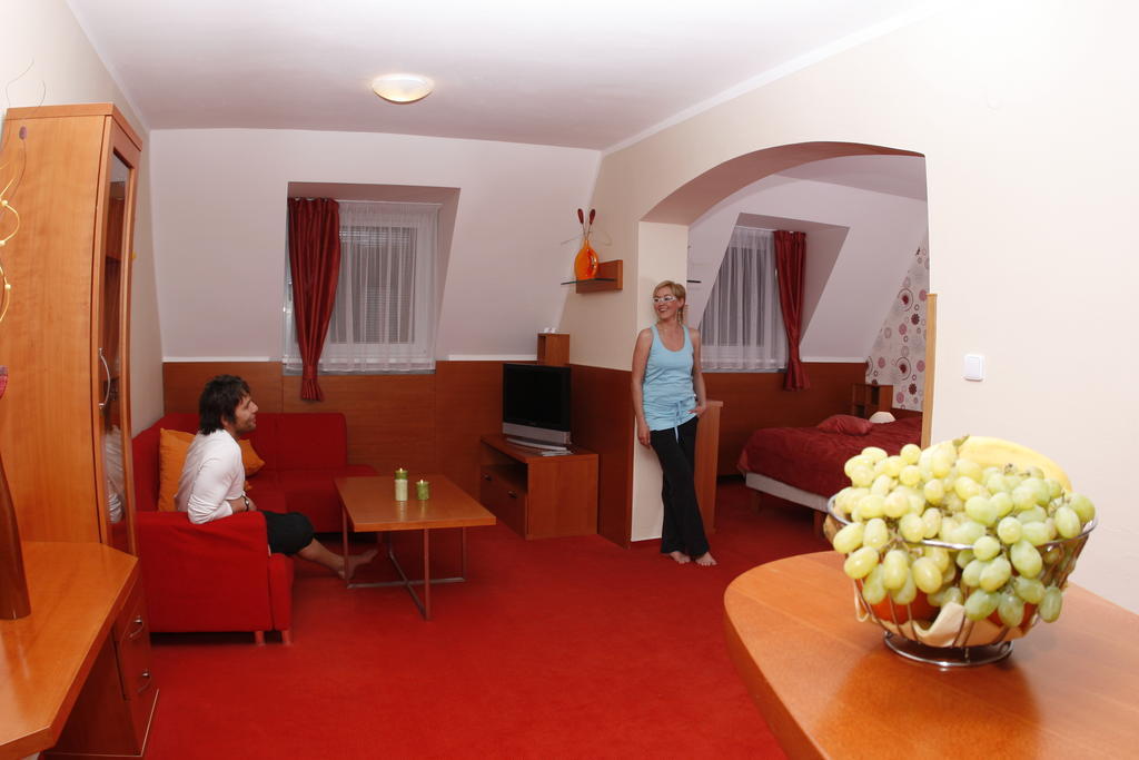 Wellness Hotel Diana Velke Losiny Bilik gambar